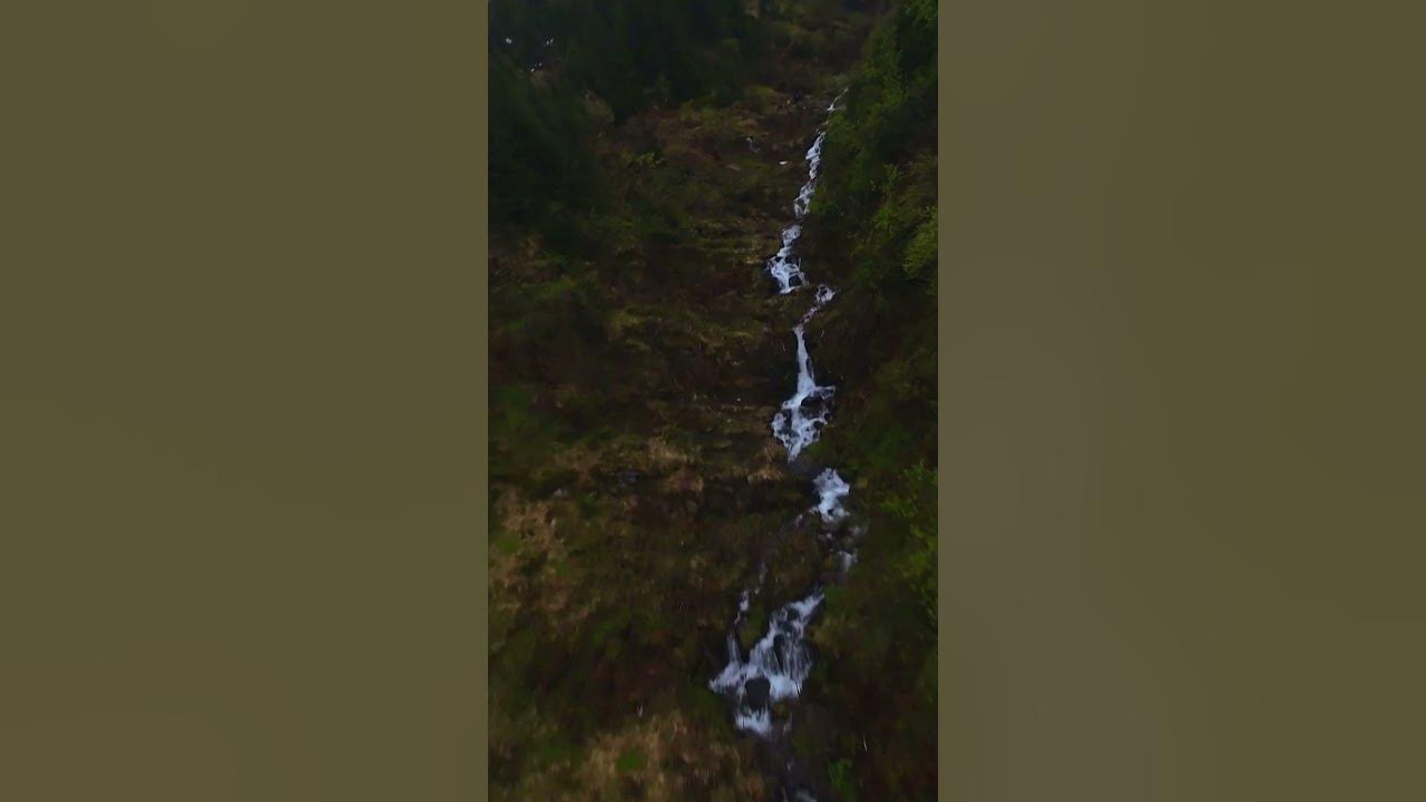Карпати, Дзембронські водоспади #shorts #тревел #карпати - YouTube