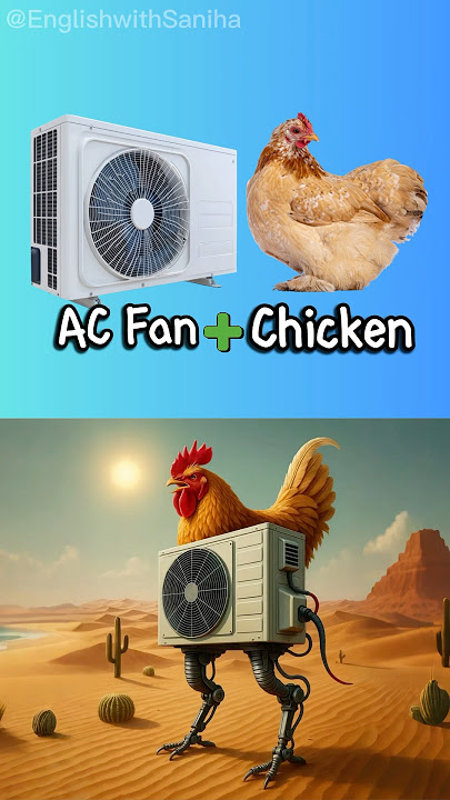 Italian Brainrot Tirilikalika Tirilikalako Literal Vs Reality Compound Words