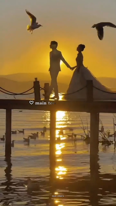 𝐓𝐞𝐫𝐢 𝐇𝐨𝐠𝐚𝐢𝐲𝐚𝐚𝐧 💗 || 𝐕𝐢𝐬𝐡𝐚𝐥 𝐌𝐢𝐬𝐡𝐫𝐚 || #4k_status #aestheticlyrics #whatsappstatus #love