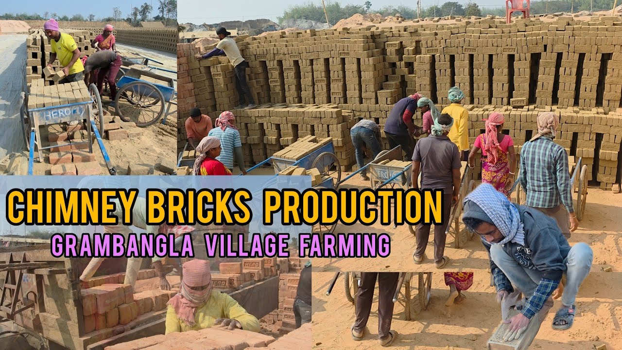 Village farming and chimni Bricks production .