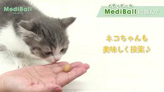 【投薬補助おやつ】おいしくなおそ♪ MediBall メディボール／犬猫用