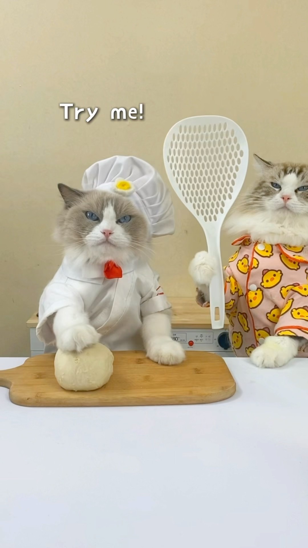 ?? Puff’s “Don’t Try This at Home” series is back with more jaw-dropping tricks! #thatlittlepuff
