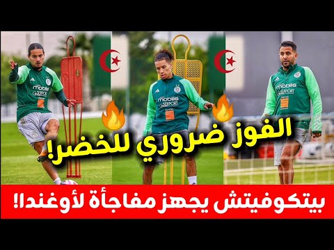 بعد التأهل إلى المونديال أجواء رائعة في تدريبات المنتخب الوطني الجزائري بسيدي موسى بالصور شاهد