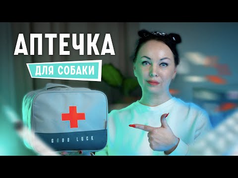 Аптечка для собак - Обязательный минимум, первая помощь
