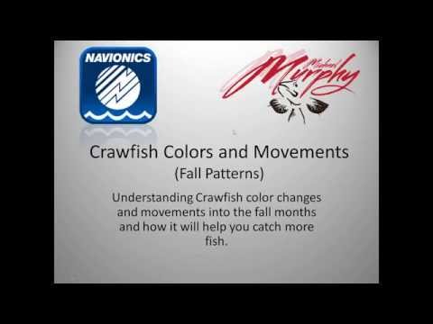 Crawfish Color Chart