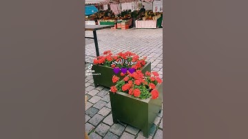 سورة الفجر، والفجر وليال عشر،بصوت جميل جدآ،تلاوة رائعة