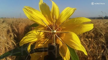 The Energy of Space, GDV Sputnik, Siberia