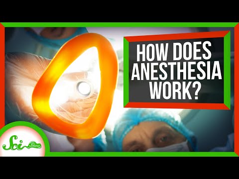 We Finally Know How Anesthesia Works