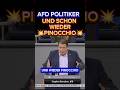 💥AFD wühlt BUNDESTAG AUF⚡#afd #merz #aliceweidel #2026 #diegrünen #siegmund #cdu #spd