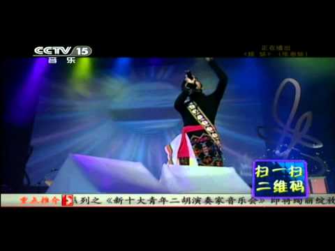 CCTV音乐台 中华情 台湾大联欢 姐妹 张惠妹