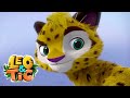 Leo and Tig 🦁 Episode 26 - New animated movie - Kedoo ToonsTV