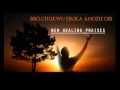 Evangelist Chukwuebuka Anozie Obi  New Healing Praises  Latest Nigerian Audio Gospel Music