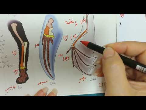 أدلة على تطور الكائنات الحية