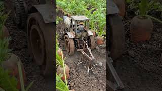 Mini tractor plowing carrot field #shorts #farming