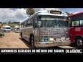 SIGUEN EN EL CAMINO ESTOS AUTOBUSES CLÁSICOS