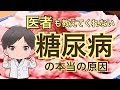 医者も教えてくれない！病気の真実！糖尿病の原因は何なのか？