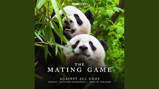 The Mating Game (Main Title) 