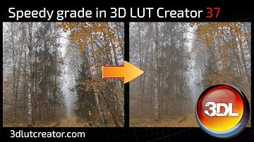 Speedy grade in 3D LUT Creator, Part 37
