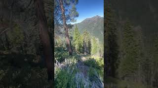 Deer Season B Zone 2024