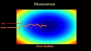 Lecture 20: Learn Deep Learning: Optimizers: Concept of Momentum in Optimization