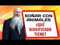 Soñar con Animales, ¿Qué Significado Tiene?