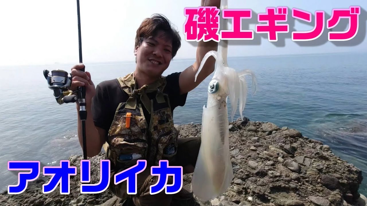 エギング地磯ランガン Youtube