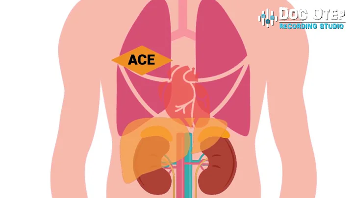 ALDOSTERONE and Renin Angiotensin Aldosterone System (RAAS) (ANIMATION)