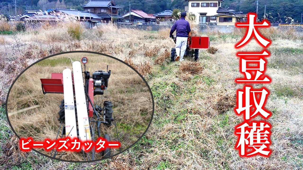 岩手　和同産業 ワドーM1-GT ビーンハーベスー　豆刈り機　黒豆　枝豆　和同産業　歩行型直接引き取り限定 自然栽培 ビーンズカッター 大豆の刈り取り動画 小面積栽培 WADO M1-GM
