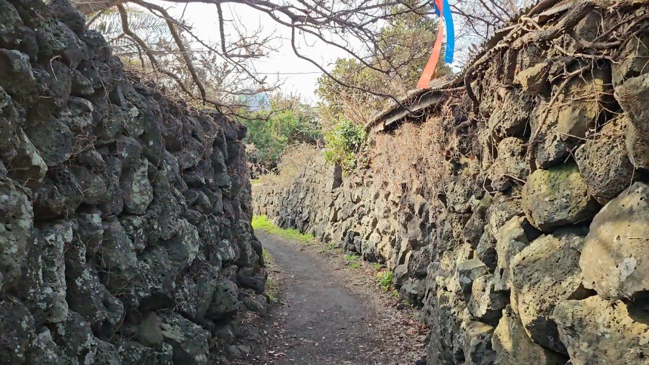 [4K] Village Walk in Jeju, Korea 🇰🇷 | Ambient Sound