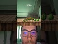 #funny