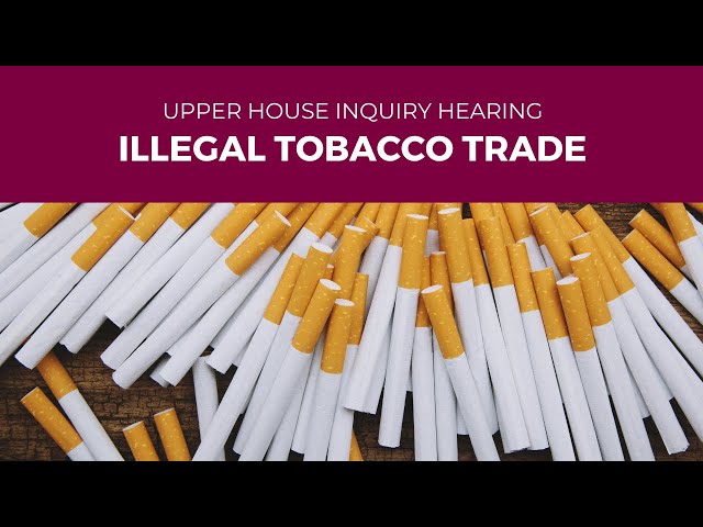 make tobacco illegal Public Hearing - Illegal Tobacco Trade - 17 December 2025