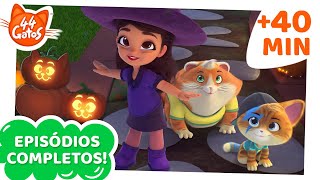 44 Gatos | 40 MINUTOS | Maratona de Halloween 🎃👻🧛 | Episódios completos | Doçura ou travessura?