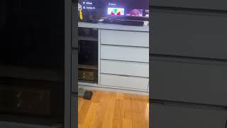 Streamers are allowed to use discord instead of X. End of an Era!!