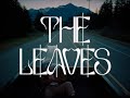 Mcevoy The Leaves Official Video mp3