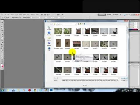 Jpeg Dosyasını Camera Raw Formatında Açma Photoshop CS4