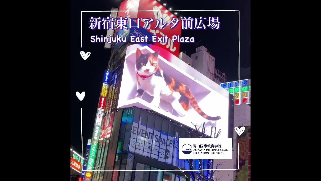 新宿東口アルタ前広場 Shinjuku East Exit Plaza Youtube