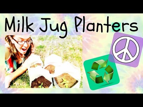 How To Make a Pot From a Milk Jug