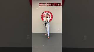 Orange Belt Sparring Combo 2