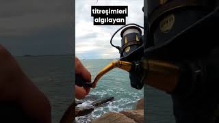 Balık Avında Kaşık Yem Ile İlgili Bilmeniz Gereken Tüm Bilgiler