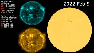 Monthly Solar Activity #2 | February 2022 | Timelapse