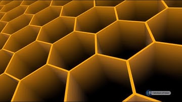 MIRACLES OF CREATION # ANIMALS # WHY ARE HONEYCOMBS HEXAGONAL?