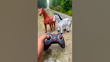 Rc horse bs RC zebra unboxing #toys #horse #shorts