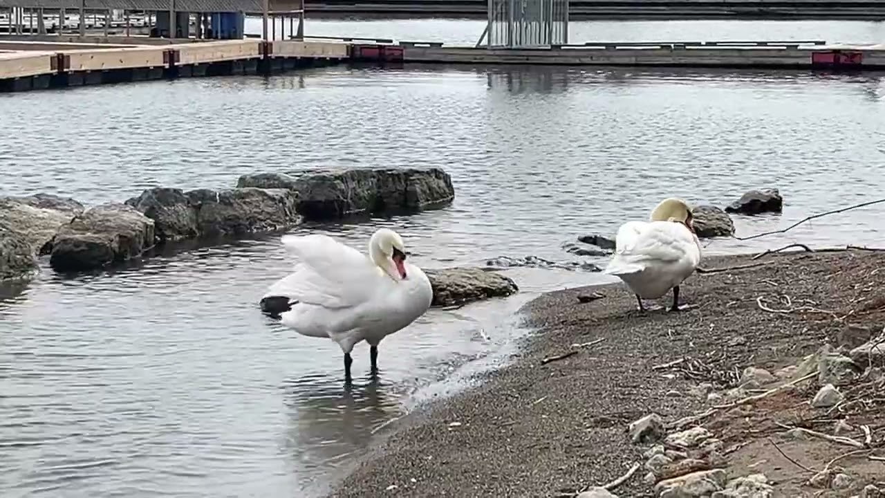LaSalle Park, Burlington