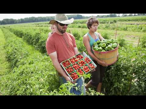 The Student Sustainability Committee - A Legacy of Impact