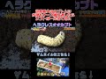 羽化が待ち遠しい