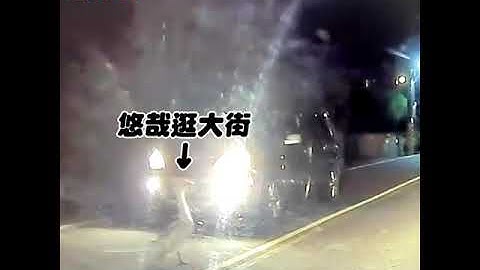 老天鹅! 大白鹅深夜逛大街　警“拖椅子”狂追压制归案 ｜TVBS新闻｜挤看看#Shorts - 天天要闻