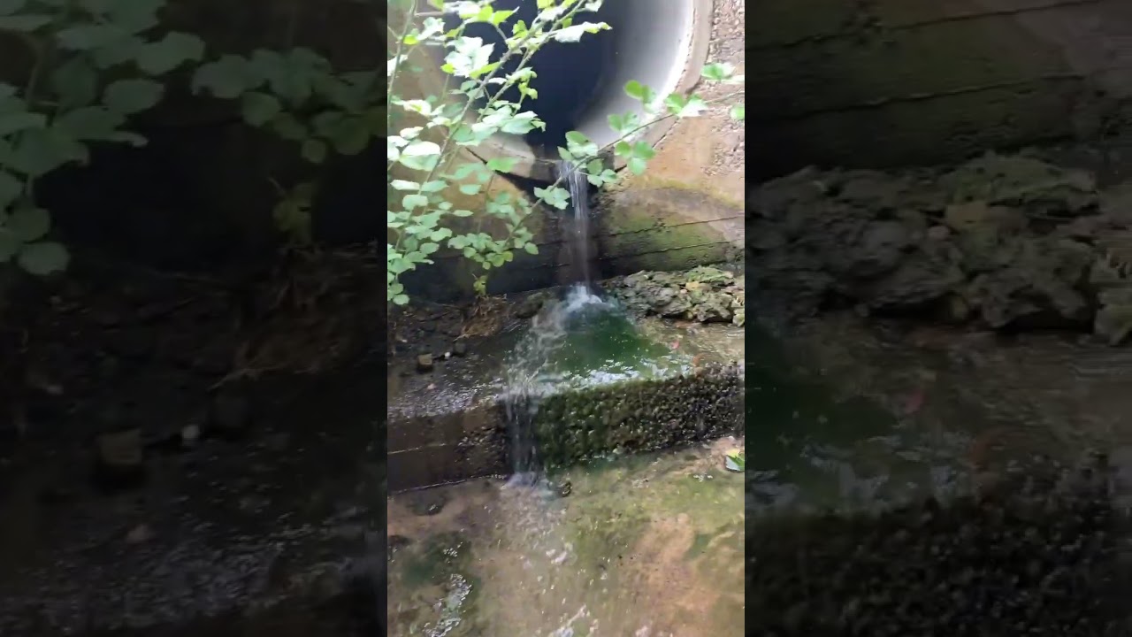 Tagged a abandon tunnel 🤫👀 