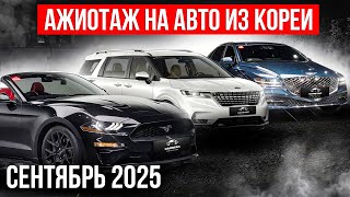 видео: Цены на Авто из Кореи ДО ВОЗМОЖНОГО ПОВЫШЕНИЯ УТИЛЬСБОРА картинка: Цены на Авто из Кореи ДО ВОЗМОЖНОГО ПОВЫШЕНИЯ УТИЛЬСБОРА