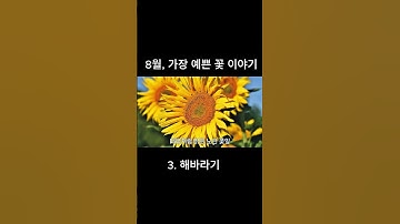 Thumbnail of 8월, 가장 예쁜 꽃 이야기