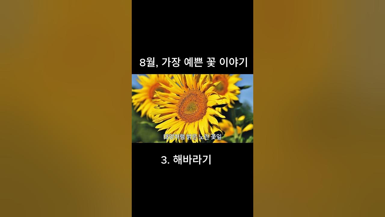 8월, 가장 예쁜 꽃 이야기
